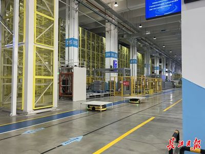 工業經濟向“綠”而行，武漢建成50家國家級綠色工廠引領轉型